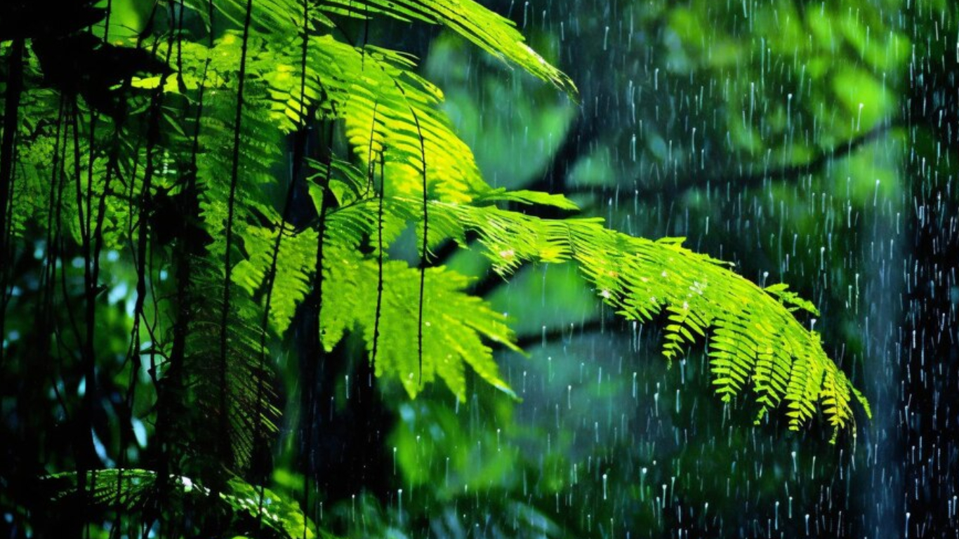 Kerala Rains