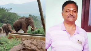 Coimbatore Elephant Attacked Shanmugham